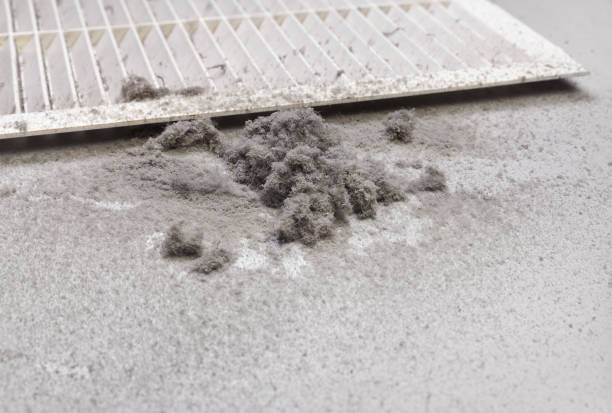 Best Emergency Air Duct Cleaning  in Bloomfield, MO