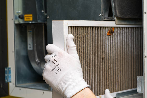 Best Air Vent Cleaning Services  in Bloomfield, MO