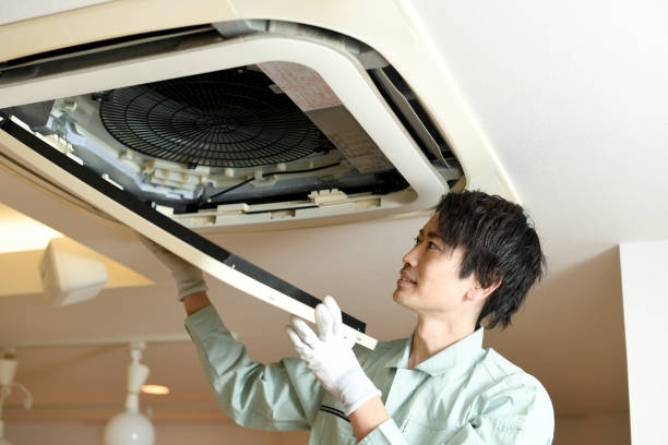 Best Air Duct Sanitizing Services  in Bloomfield, MO
